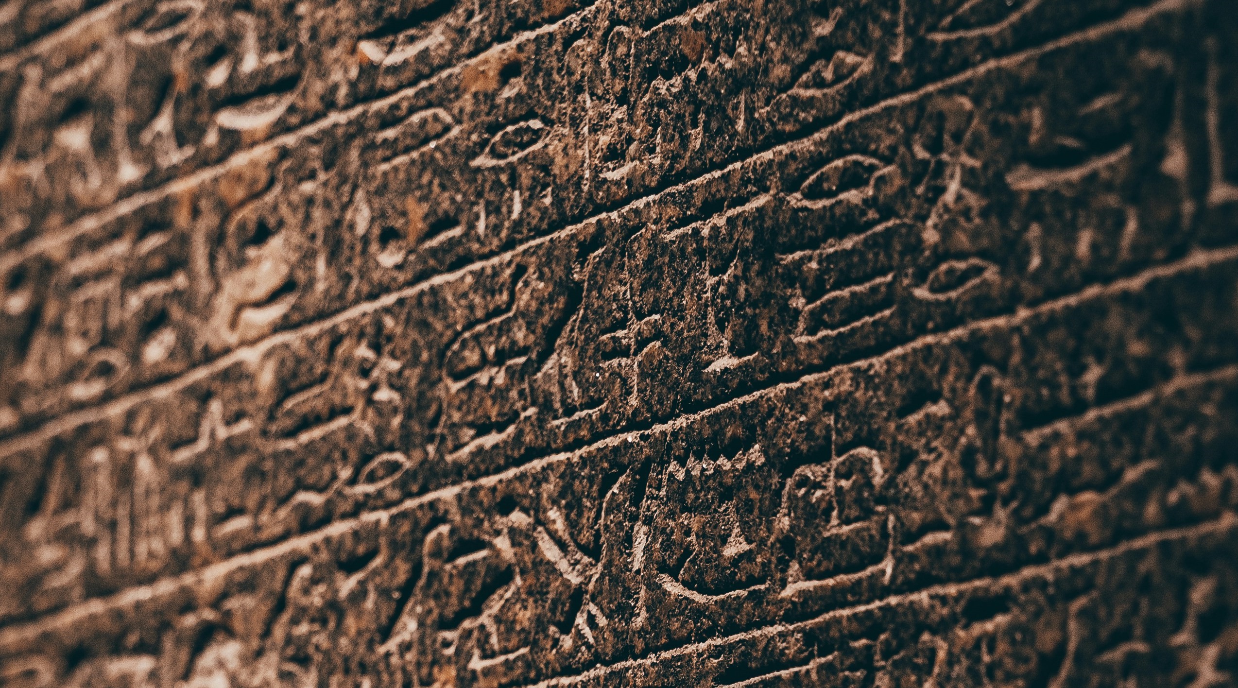 What is Language?